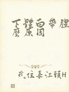 下体白带腥臭什么原因