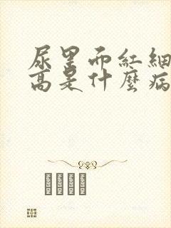 尿里面红细胞偏高是什么病