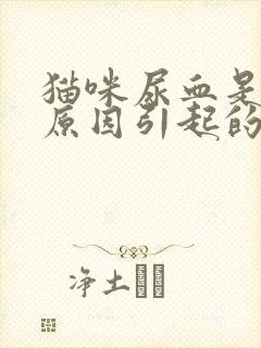 猫咪尿血是什么原因引起的