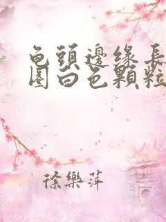 龟头边缘长了一圈白色颗粒