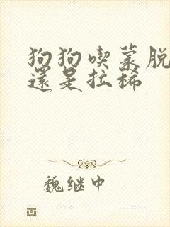 狗狗吃蒙脱石散还是拉稀