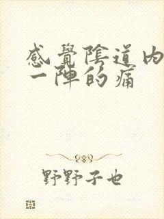 感觉阴道内一阵一阵的痛