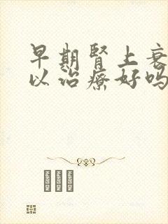 早期肾上衰竭可以治疗好吗