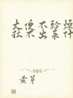 大便不干燥就是拉不出来什么原因