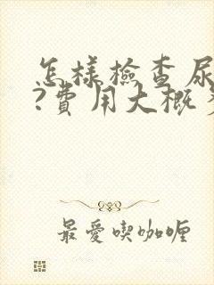 怎样检查尿常规?费用大概多少?