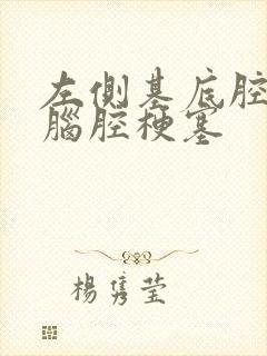 左侧基底腔隙性脑腔梗塞