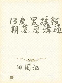 13岁男孩叛逆期怎么沟通