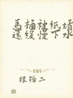 马桶被纸堵了但还缓慢下水