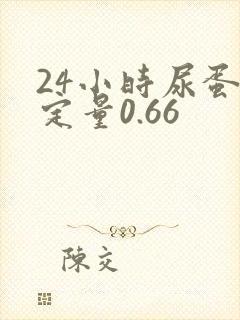 24小时尿蛋白定量0.66