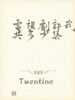 电视剧许我耀眼共多少集