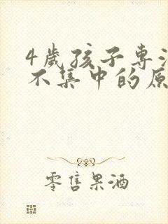 4岁孩子专注力不集中的原因