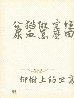 公猫做完绝育后尿血怎么回事