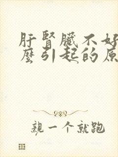 肝肾脏不好是什么引起的原因