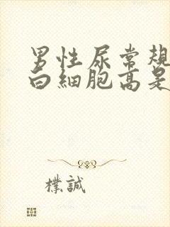 男性尿常规检查白细胞高是什么原因