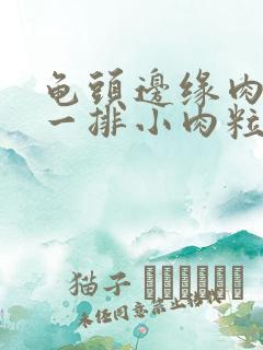 龟头边缘肉色的一排小肉粒