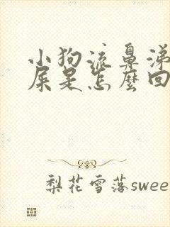 小狗流鼻涕流眼屎是怎么回事