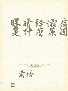 眼睛干涩痛流泪是什么原因引起的