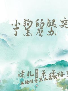 小狗的腿突然瘸了怎么办