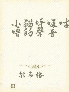 小猫呼吸咕噜咕噜的声音