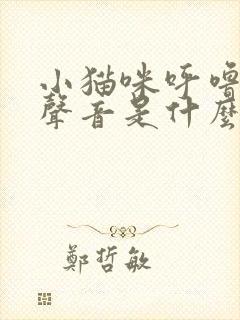 小猫咪呼噜噜的声音是什么意思