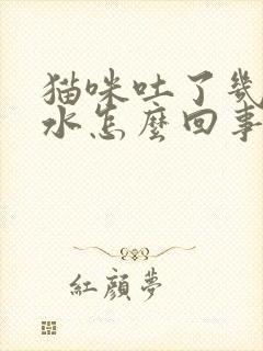 猫咪吐了几天黄水怎么回事