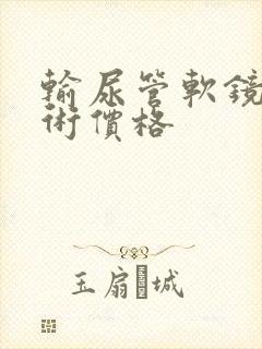 输尿管软镜排石术价格