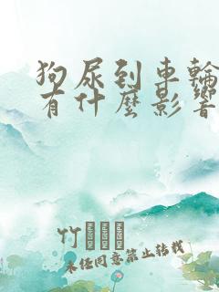 狗尿到车轮胎上有什么影响