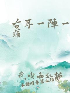 右耳一阵一阵刺痛