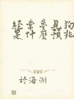 经常梦见狗咬我是什么预兆