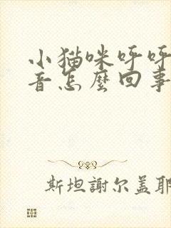 小猫咪呼呼的声音怎么回事