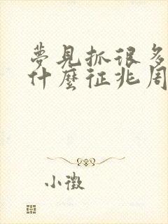 梦见抓很多鱼是什么征兆周公解梦