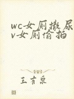 wc女厕撒尿tv女厕偷拍