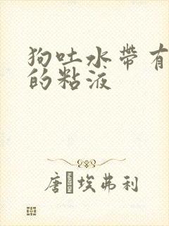 狗吐水带有白色的粘液