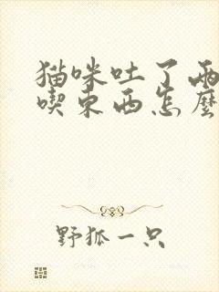 猫咪吐了两天不吃东西怎么办