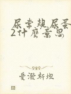 尿常规尿蛋白+2什么意思