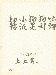 细小狗狗吐白色粘液是好转还是恶化