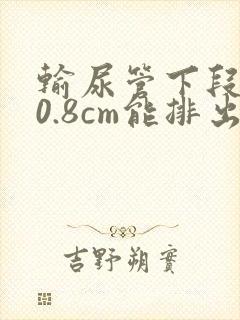 输尿管下段结石0.8cm能排出来吗