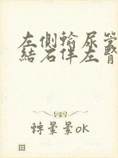 左侧输尿管中段结石伴左肾轻度积水