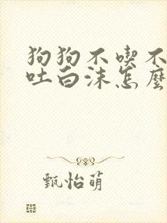 狗狗不吃不喝口吐白沫怎么回事