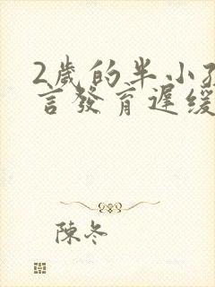 2岁的半小孩语言发育迟缓