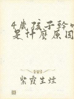 4岁孩子干咳嗽是什么原因