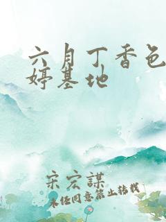 六月丁香色婷婷婷基地