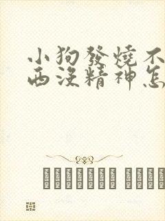 小狗发烧不吃东西没精神怎么办