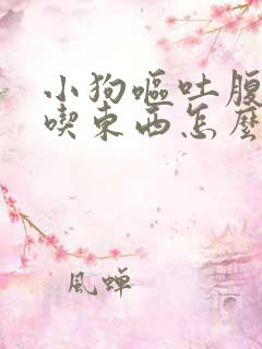 小狗呕吐腹泻不吃东西怎么办