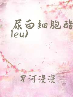 尿白细胞酯酶(leu)
