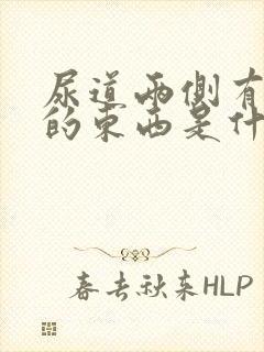 尿道两侧有白色的东西是什么