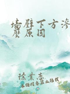 墙壁下方渗水什么原因