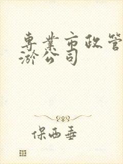 专业市政管道清淤公司