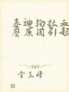 泰迪狗拉血是什么原因引起的