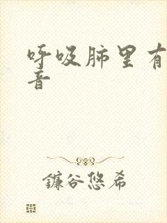 呼吸肺里有痰鸣音